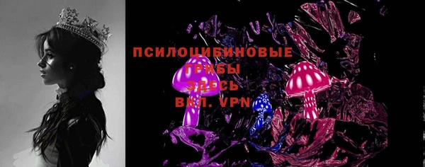 a pvp Горняк