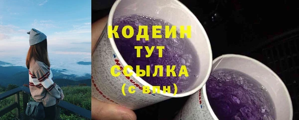 a pvp Горняк