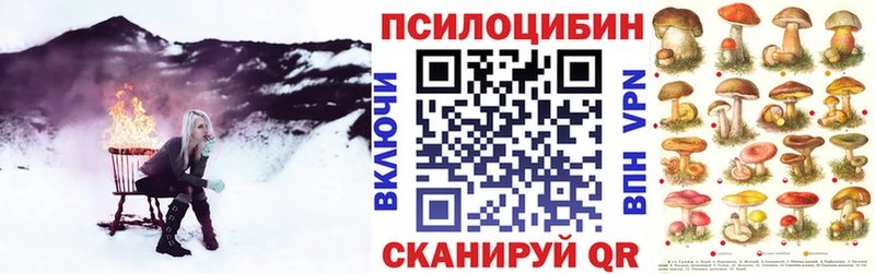 Галлюциногенные грибы Psilocybe хочу наркоту omg ONION Мценск